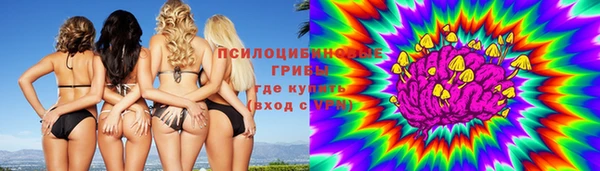 спайс Магас