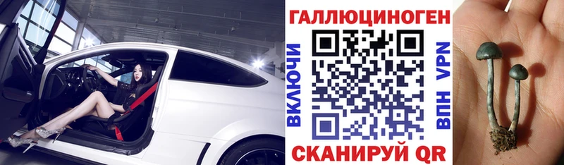 blacksprut ONION  darknet клад  Псилоцибиновые грибы мицелий  как найти закладки  Владимир 
